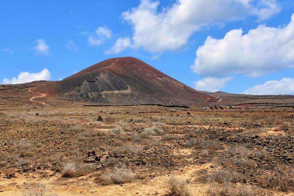 Villa Fenix - Oasis In Natural Reserve 拉哈雷斯 外观 照片
