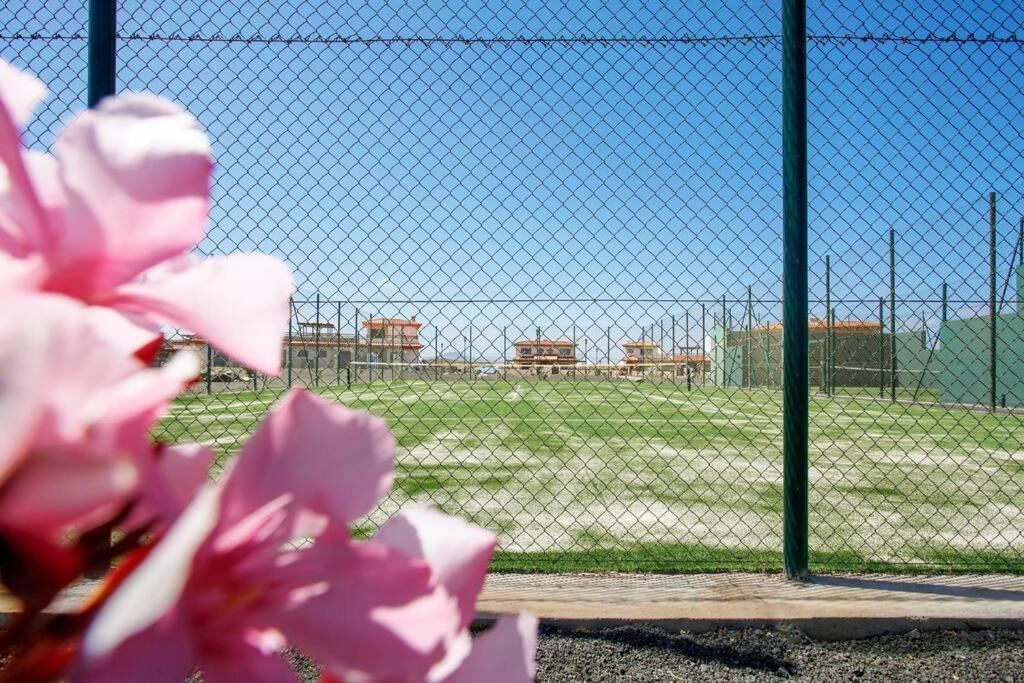 Villa Fenix - Oasis In Natural Reserve 拉哈雷斯 外观 照片